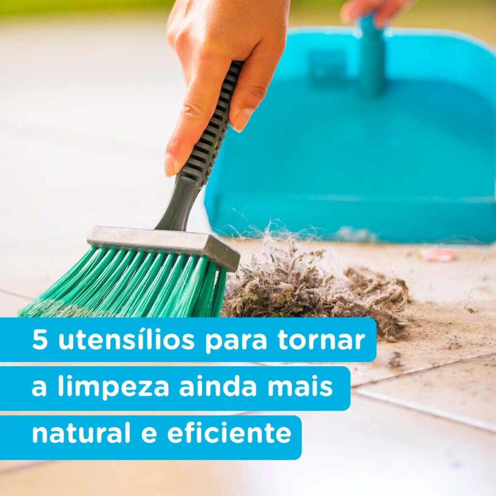 06 12 5 utensilios para tornar a limpeza ainda mais natural e eficiente
