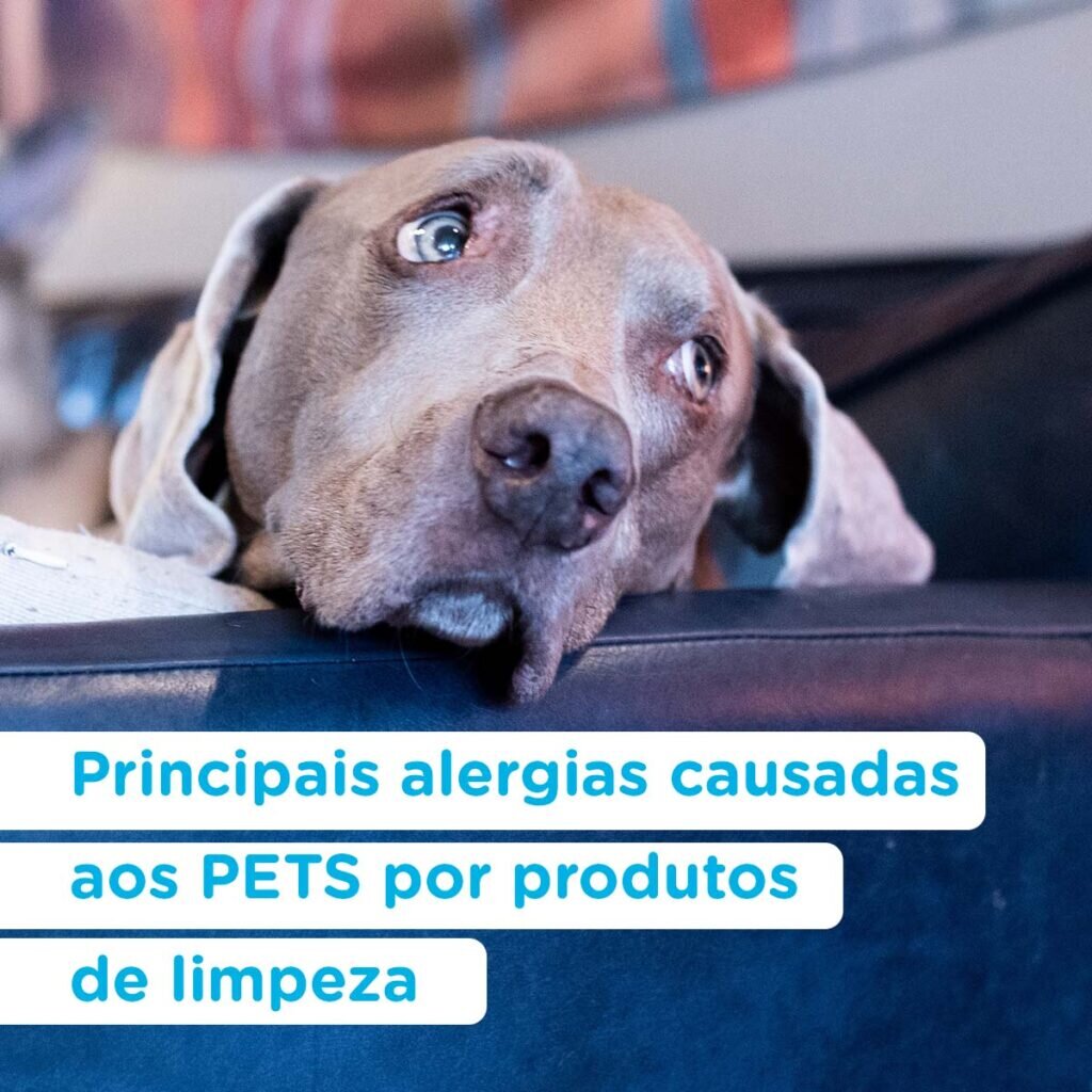 28 01 Principais alergias causadas aos PETS por produtos de limpeza